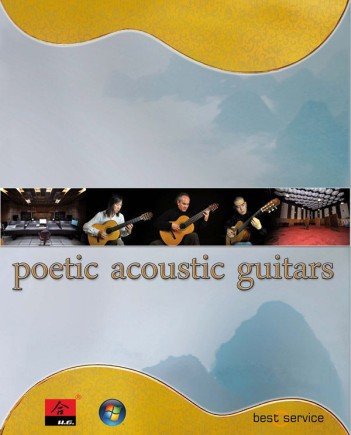 Poetic Acoustic Guitars