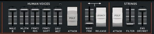 vplus_Voices_Strings_Formanten_Poly-Attack_Release