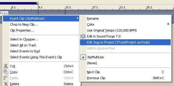 Edit Source Project Option in AICD Pro