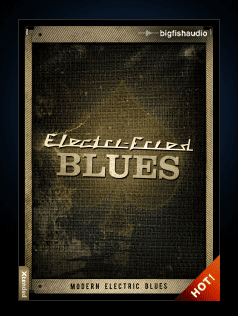 Electri-Fried Blues