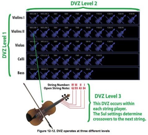 DVZ Split Levels