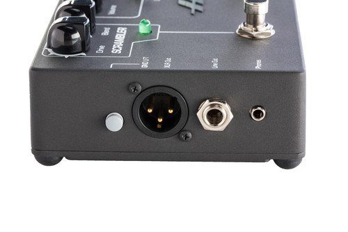 Ampeg Outputs