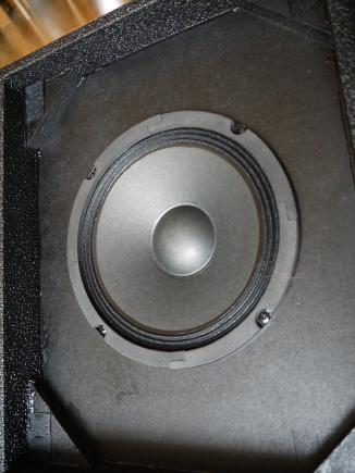 Klangstark: der 8"-Speaker des Ampeg BA-108 v2