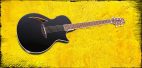 Test: ESP LTD TL-6 BLK, Akustikgitarre