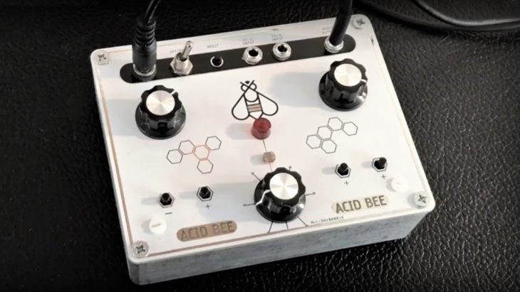 Error Instruments Acid Bee Synthesizer