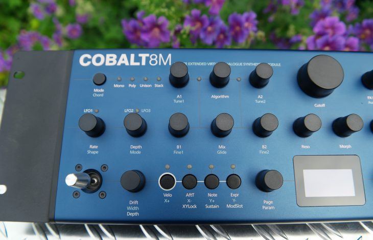 Modal Electronics Cobalt8M VA-Synthesizer