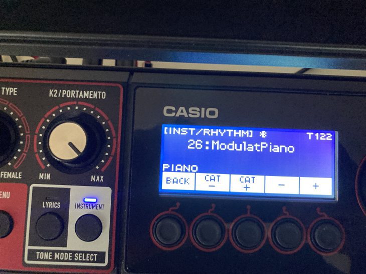Casio CT-S1000V Tones
