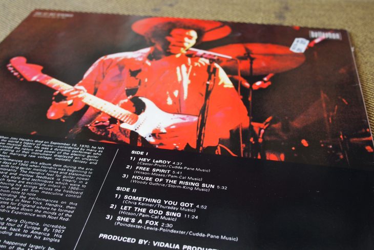 The Jimi Hendrix Book (3)