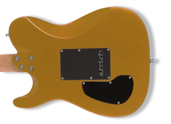 Chapman Guitars ML3 Pro X Body Back