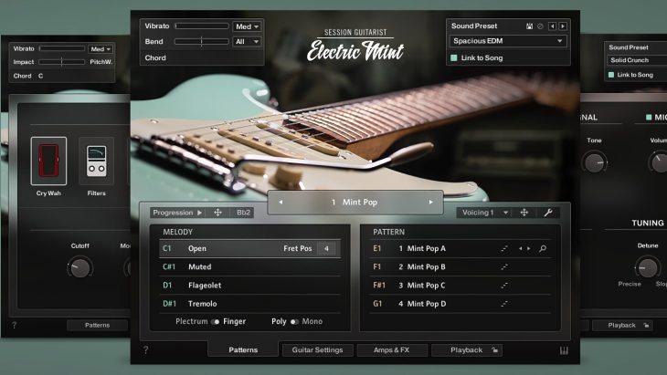 Native Instruments Session Guitarist Electric Mint Software