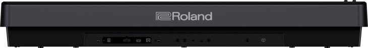 Die Anschlüsse des Roland FP-E50