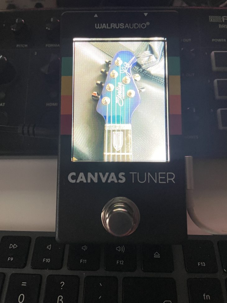 Walrus Audio Canvas Tuner At Home