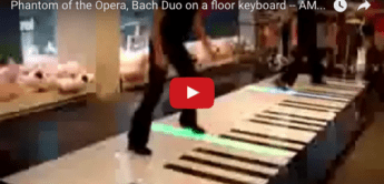 Fun: Bach auf dem Boden