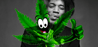 Späte Ehre: Pflanze wird nach Jimi Hendrix benannt
