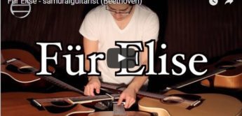 Talent: 5 Gitarren für Elise